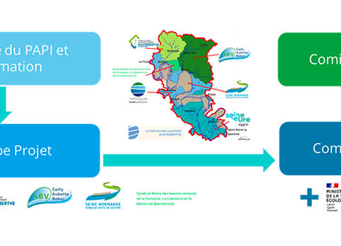 Schéma explicatif de la gouvernance du PAPI Rouen-Louviers-Austreberthe 2024-2030. La métropole est en charge de l'animation, ensuite il y a l'équipe projet avec les structures membres, puis le comité technique (composé de l'agence de l'Eau, du département de la Seine-Maritime, du département de l'Eure et le ministère de la transition écologique) puis un comité de pilotage.