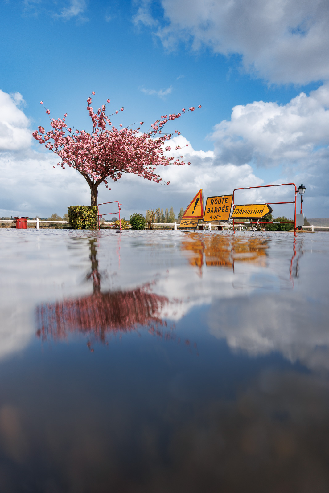 l'eau recouvre le sol et on voit à la surface de l'eau le reflet d'un arbre en fleur. Apparaissent aussi des panneaux de signalisation routière "route barrée" et "danger", "déviation" du fait de l'inondation de la route