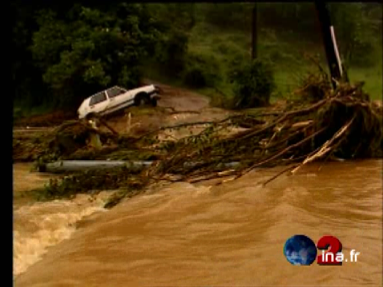Arbre ramené par les flots et coincé sur une route. Voiture emportée par les flots